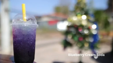 Blueberry cream soda is a delightful combination of fruity blueberry flavour and cream soda's classic, rich taste. This beverage a unique